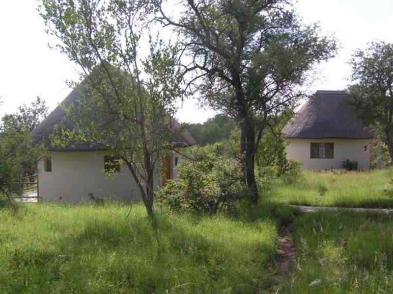 Mbizi Bush Lodge Phalaborwa Kültér fotó